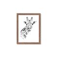 Picture of Sketched Giraffe _GroupedProduct_Rectangle_Portrait_Mini_ _GroupedProduct_Rectangle_Portrait_Framed_Matted_
