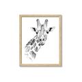 Picture of Sketched Giraffe _GroupedProduct_Rectangle_Portrait_Mini_ _GroupedProduct_Rectangle_Portrait_Framed_Matted_
