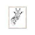 Picture of Sketched Giraffe _GroupedProduct_Rectangle_Portrait_Mini_ _GroupedProduct_Rectangle_Portrait_Framed_Matted_