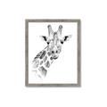 Picture of Sketched Giraffe _GroupedProduct_Rectangle_Portrait_Mini_ _GroupedProduct_Rectangle_Portrait_Framed_Matted_