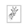 Picture of Sketched Giraffe _GroupedProduct_Rectangle_Portrait_Mini_ _GroupedProduct_Rectangle_Portrait_Framed_Matted_
