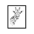 Picture of Sketched Giraffe _GroupedProduct_Rectangle_Portrait_Mini_ _GroupedProduct_Rectangle_Portrait_Framed_Matted_