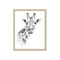 Picture of Sketched Giraffe _GroupedProduct_Rectangle_Portrait_Mini_ _GroupedProduct_Rectangle_Portrait_Framed_Matted_