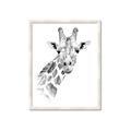 Picture of Sketched Giraffe _GroupedProduct_Rectangle_Portrait_Mini_ _GroupedProduct_Rectangle_Portrait_Framed_Matted_