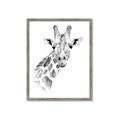 Picture of Sketched Giraffe _GroupedProduct_Rectangle_Portrait_Mini_ _GroupedProduct_Rectangle_Portrait_Framed_Matted_