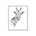 Picture of Sketched Giraffe _GroupedProduct_Rectangle_Portrait_Mini_ _GroupedProduct_Rectangle_Portrait_Framed_Matted_