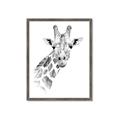 Picture of Sketched Giraffe _GroupedProduct_Rectangle_Portrait_Mini_ _GroupedProduct_Rectangle_Portrait_Framed_Matted_