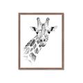 Picture of Sketched Giraffe _GroupedProduct_Rectangle_Portrait_Mini_ _GroupedProduct_Rectangle_Portrait_Framed_Matted_