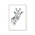 Picture of Sketched Giraffe _GroupedProduct_Rectangle_Portrait_Mini_ _GroupedProduct_Rectangle_Portrait_Framed_Matted_