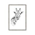 Picture of Sketched Giraffe _GroupedProduct_Rectangle_Portrait_Mini_ _GroupedProduct_Rectangle_Portrait_Framed_Matted_