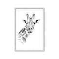 Picture of Sketched Giraffe _GroupedProduct_Rectangle_Portrait_Mini_ _GroupedProduct_Rectangle_Portrait_Framed_Matted_