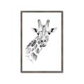Picture of Sketched Giraffe _GroupedProduct_Rectangle_Portrait_Mini_ _GroupedProduct_Rectangle_Portrait_Framed_Matted_