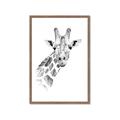 Picture of Sketched Giraffe _GroupedProduct_Rectangle_Portrait_Mini_ _GroupedProduct_Rectangle_Portrait_Framed_Matted_