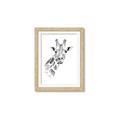 Picture of Sketched Giraffe _GroupedProduct_Rectangle_Portrait_Mini_ _GroupedProduct_Rectangle_Portrait_Framed_Matted_