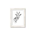 Picture of Sketched Giraffe _GroupedProduct_Rectangle_Portrait_Mini_ _GroupedProduct_Rectangle_Portrait_Framed_Matted_