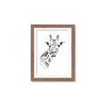 Picture of Sketched Giraffe _GroupedProduct_Rectangle_Portrait_Mini_ _GroupedProduct_Rectangle_Portrait_Framed_Matted_