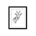 Picture of Sketched Giraffe _GroupedProduct_Rectangle_Portrait_Mini_ _GroupedProduct_Rectangle_Portrait_Framed_Matted_