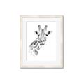 Picture of Sketched Giraffe _GroupedProduct_Rectangle_Portrait_Mini_ _GroupedProduct_Rectangle_Portrait_Framed_Matted_
