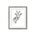 Picture of Sketched Giraffe _GroupedProduct_Rectangle_Portrait_Mini_ _GroupedProduct_Rectangle_Portrait_Framed_Matted_