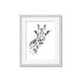 Picture of Sketched Giraffe _GroupedProduct_Rectangle_Portrait_Mini_ _GroupedProduct_Rectangle_Portrait_Framed_Matted_