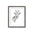 Picture of Sketched Giraffe _GroupedProduct_Rectangle_Portrait_Mini_ _GroupedProduct_Rectangle_Portrait_Framed_Matted_