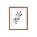 Picture of Sketched Giraffe _GroupedProduct_Rectangle_Portrait_Mini_ _GroupedProduct_Rectangle_Portrait_Framed_Matted_