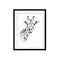 Picture of Sketched Giraffe _GroupedProduct_Rectangle_Portrait_Mini_ _GroupedProduct_Rectangle_Portrait_Framed_Matted_