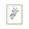Picture of Sketched Giraffe _GroupedProduct_Rectangle_Portrait_Mini_ _GroupedProduct_Rectangle_Portrait_Framed_Matted_