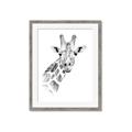 Picture of Sketched Giraffe _GroupedProduct_Rectangle_Portrait_Mini_ _GroupedProduct_Rectangle_Portrait_Framed_Matted_