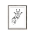 Picture of Sketched Giraffe _GroupedProduct_Rectangle_Portrait_Mini_ _GroupedProduct_Rectangle_Portrait_Framed_Matted_