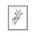 Picture of Sketched Giraffe _GroupedProduct_Rectangle_Portrait_Mini_ _GroupedProduct_Rectangle_Portrait_Framed_Matted_