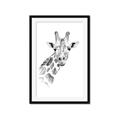Picture of Sketched Giraffe _GroupedProduct_Rectangle_Portrait_Mini_ _GroupedProduct_Rectangle_Portrait_Framed_Matted_