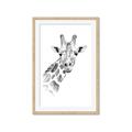 Picture of Sketched Giraffe _GroupedProduct_Rectangle_Portrait_Mini_ _GroupedProduct_Rectangle_Portrait_Framed_Matted_