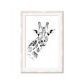 Picture of Sketched Giraffe _GroupedProduct_Rectangle_Portrait_Mini_ _GroupedProduct_Rectangle_Portrait_Framed_Matted_