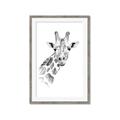 Picture of Sketched Giraffe _GroupedProduct_Rectangle_Portrait_Mini_ _GroupedProduct_Rectangle_Portrait_Framed_Matted_