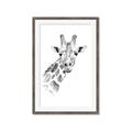 Picture of Sketched Giraffe _GroupedProduct_Rectangle_Portrait_Mini_ _GroupedProduct_Rectangle_Portrait_Framed_Matted_
