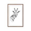 Picture of Sketched Giraffe _GroupedProduct_Rectangle_Portrait_Mini_ _GroupedProduct_Rectangle_Portrait_Framed_Matted_