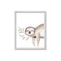Picture of Kid sloth _GroupedProduct_Rectangle_Portrait_Mini_ _GroupedProduct_Rectangle_Portrait_Framed_Matted_