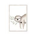 Picture of Kid sloth _GroupedProduct_Rectangle_Portrait_Mini_ _GroupedProduct_Rectangle_Portrait_Framed_Matted_