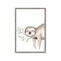 Picture of Kid sloth _GroupedProduct_Rectangle_Portrait_Mini_ _GroupedProduct_Rectangle_Portrait_Framed_Matted_