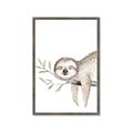 Picture of Kid sloth _GroupedProduct_Rectangle_Portrait_Mini_ _GroupedProduct_Rectangle_Portrait_Framed_Matted_