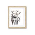 Picture of Elephant Cuddles  _GroupedProduct_Rectangle_Portrait_Mini_ _GroupedProduct_Rectangle_Portrait_Framed_Matted_