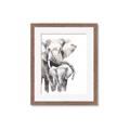 Picture of Elephant Cuddles  _GroupedProduct_Rectangle_Portrait_Mini_ _GroupedProduct_Rectangle_Portrait_Framed_Matted_