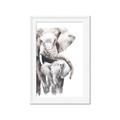 Picture of Elephant Cuddles  _GroupedProduct_Rectangle_Portrait_Mini_ _GroupedProduct_Rectangle_Portrait_Framed_Matted_