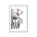 Picture of Elephant Cuddles  _GroupedProduct_Rectangle_Portrait_Mini_ _GroupedProduct_Rectangle_Portrait_Framed_Matted_