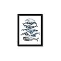 Picture of Fish Pattern _GroupedProduct_Rectangle_Portrait_Mini_ _GroupedProduct_Rectangle_Portrait_Framed_Matted_