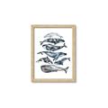 Picture of Fish Pattern _GroupedProduct_Rectangle_Portrait_Mini_ _GroupedProduct_Rectangle_Portrait_Framed_Matted_