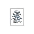 Picture of Fish Pattern _GroupedProduct_Rectangle_Portrait_Mini_ _GroupedProduct_Rectangle_Portrait_Framed_Matted_