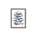 Picture of Fish Pattern _GroupedProduct_Rectangle_Portrait_Mini_ _GroupedProduct_Rectangle_Portrait_Framed_Matted_