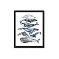 Picture of Fish Pattern _GroupedProduct_Rectangle_Portrait_Mini_ _GroupedProduct_Rectangle_Portrait_Framed_Matted_